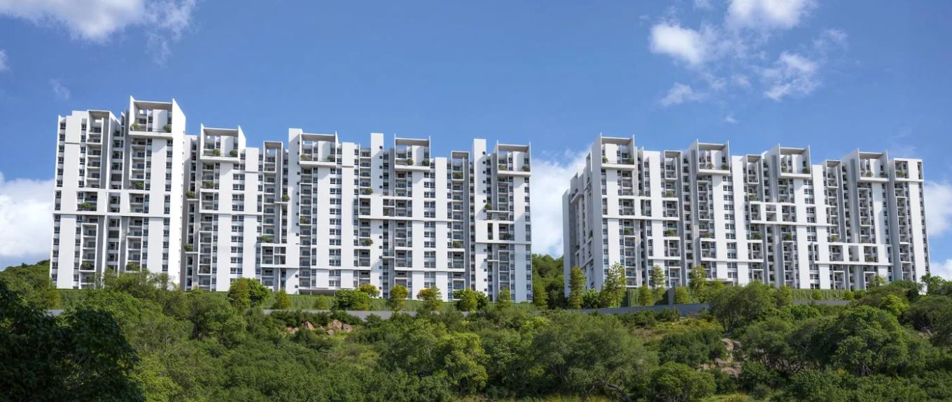 Rohan Saroha 13